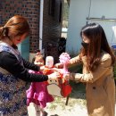 쌍림초교병설유치원 이미지