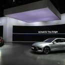 쏘나타 이미지
