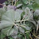 건강해봄 이미지