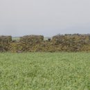 하모리-20 이미지