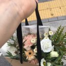 스웰홈