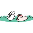 다산포도농원