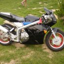 R7 Daum카페