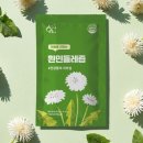 황금이네