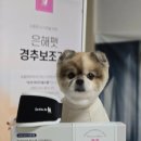 은해보조기 이미지