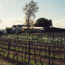 (주)필립 이미지