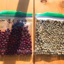 (주)달달콩 이미지