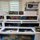 바다수산회 이미지