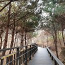 프리디자인 이미지