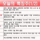 성안SG