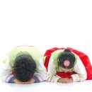 다나움의원 이미지