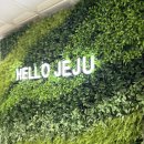 버베나더홈 | 김포➡️제주 아시아나 탑승 / 제주 애월 풀빌라 [버베나더홈]POOL채 솔직 후기