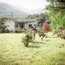 수목원펜션 이미지