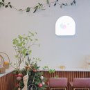 주니청과 이미지