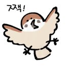 금화백숙 이미지