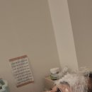 아이스킨 | 인천 부평 피부과 톤즈의원 부평점 스킨보톡스 + 아이리프팅 보톡스 후기