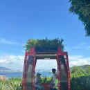 나트랑가족여행🌴아이들의천국⭐️빈원더스⭐️(놀이동산,워터파크,사파리)온종일 즐겨본 후기