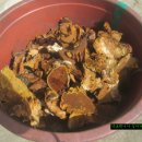 버섯마당 이미지