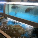 광동수산 이미지