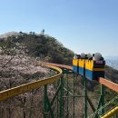 지산유원지 공중화장실 | 광주 이색 데이트 지산유원지 리프트 무등산 모노레일 벚꽃 단풍 구경하기 좋아
