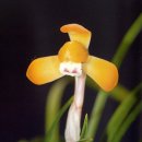 (주)금화 이미지