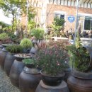 청안농장 이미지