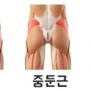Zerone Gym 이미지