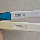 [임신준비] 인생 첫 두 줄과 진해지지 않는 임테기 / 화유엔딩