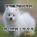 평택애견미용학원 월 천만원 수익 후기