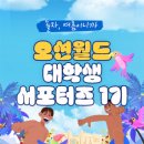 코드오션 Daum카페