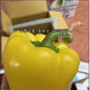 (주)농수산물마켓