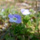 봉선지둘레길 이미지