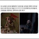 대실근린공원 | 근황토크_20250223