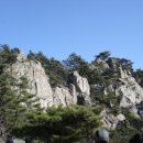 남산 이미지