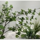 로움필라테스 이미지