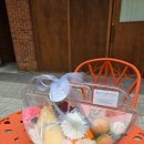 에코밍글