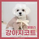 뭉블리 | 강아지의류 강아지코트 착장 후기~!