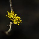 산동어울림 이미지