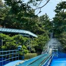 주주팜 | 대구 이월드 놀이기구 탑승, 동물원 주주팜 후기