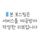 스내지네일