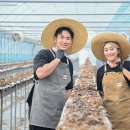 유가읍 행정복지센터 앞 아이뉴스24