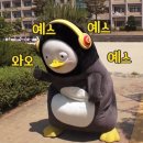 조아요