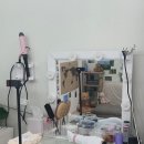 구름사진관&셀프스튜디오
