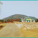 매전농협주유소 이미지