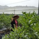 라원농장 이미지