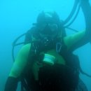 프렌드샾 이미지