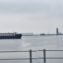 서해바다 이미지