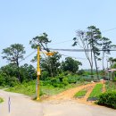 3.1운동길A 이미지