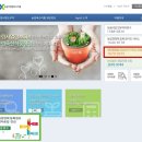 청년창업형 후계농업경영인 신청후기 및 꿀팁!! - 지역보험 부가내역 확인서 / 금융기관 신용조사서
