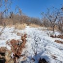 녹인월드(주) 이미지